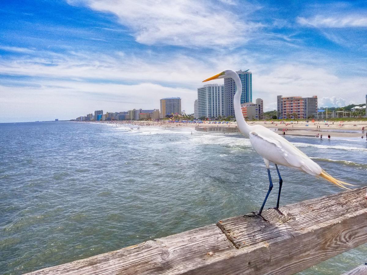 New Amazing Corneramazing Views Honeymoon Suite! Myrtle Beach Dış mekan fotoğraf
